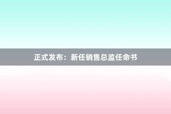 正式发布：新任销售总监任命书